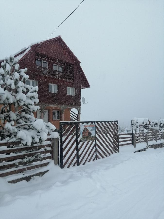 Cabana Ghetari Bagian luar foto