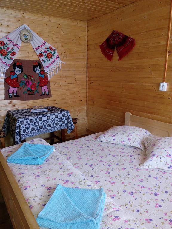 Cabana Ghetari Bagian luar foto