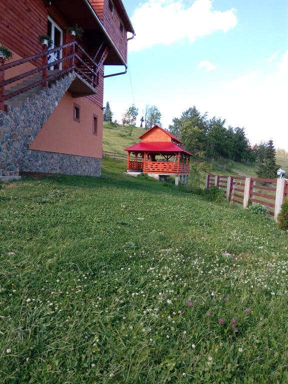 Cabana Ghetari Bagian luar foto