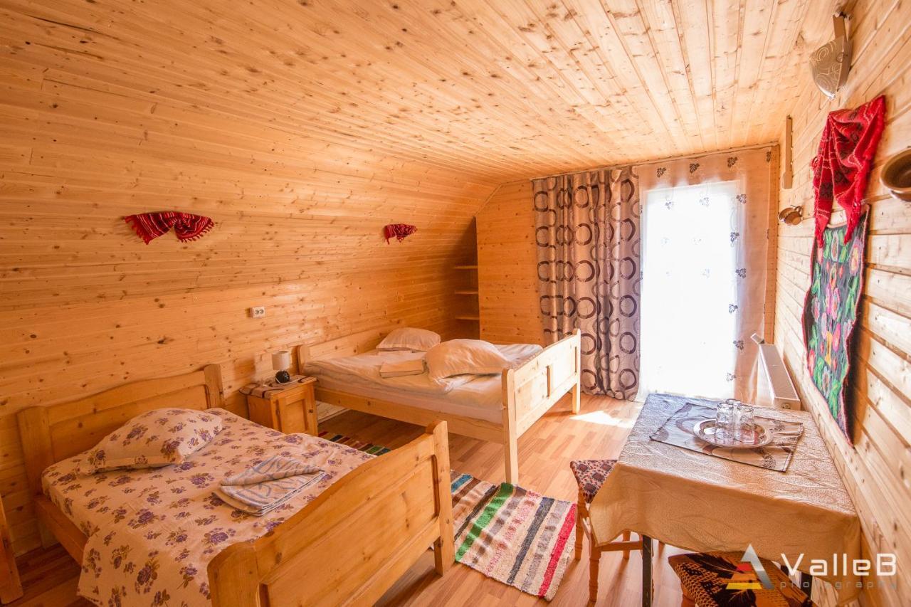 Cabana Ghetari Bagian luar foto